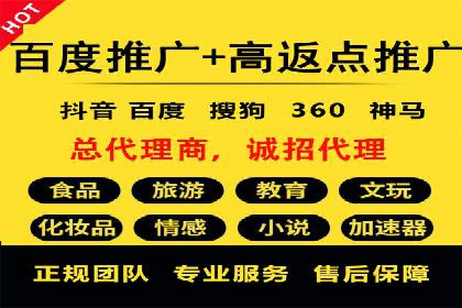 SEM代运营服务公司案例分析：数据驱动营销策略